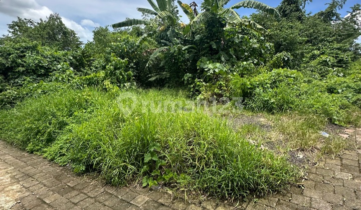 Cheap Sukawati Land Ready to Build Yellow Zone