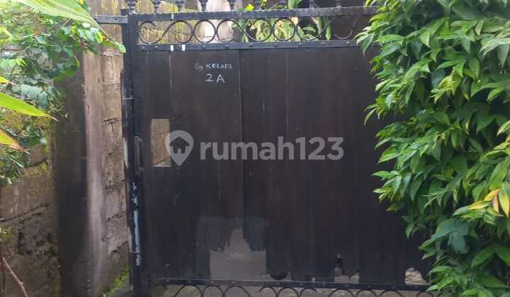 Dijual Tanah Bonus Rumah di Tukad Yeh Aye Renon