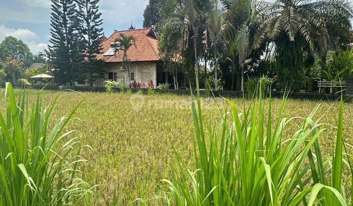 Tanah View Keren Cocok Villa Harga Murah  1