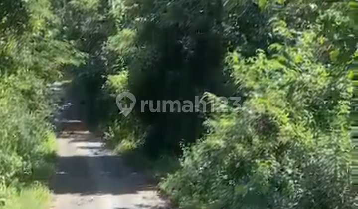 Tanah Murah Untuk Investasi Datar Jalan Mobil 