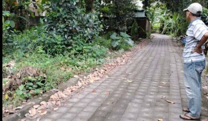 TANAH SUPER MURAH DI CENTER UBUD COCOK VILLA RENTAL  1