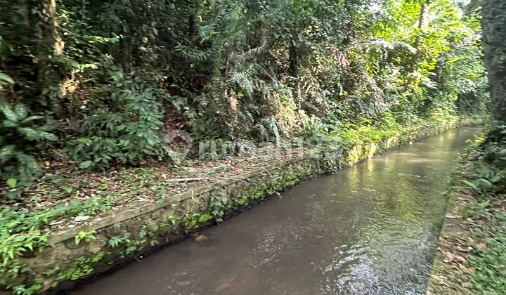 Buc River View Mas Ubud Yellow Zone for Villa