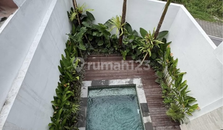 Cm914 Sewa Brand New Villa In Tumbak Bayuh Canggu Badung Bali Near Pererenan Dalung Denpasar Kerobokan Tabanan2 Bedroom Cm914 Sewa Brand New Villa In Tumbak Bayuh Canggu Badung Bali Near Pererenan Dalung Denpasar Kerobokan Tabanan2 Bedroom