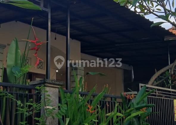 K539 Sewa Rumah Padonan Canggu Kuta Badung Bali Dekat Seminyak Denpasar Dalung Tabanan