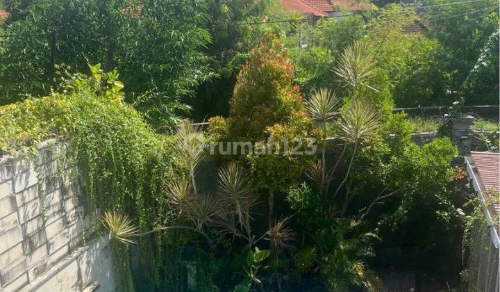 Cm686 Sewa/ Jual Rumah Semi Villa Mahendradata Denpasar Bali Dekat Imam Bonjol Teuku Umar Kerobokan  1