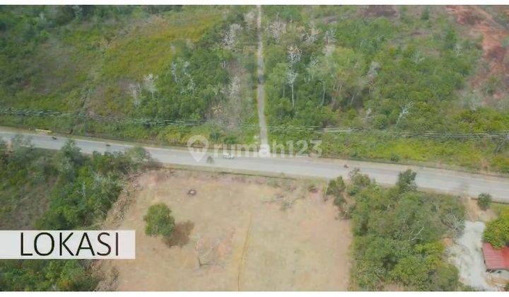 Cm787 Jual Tanah 5 Hektar Raya Kawal Bintan Batam Kepulauan Riau  1