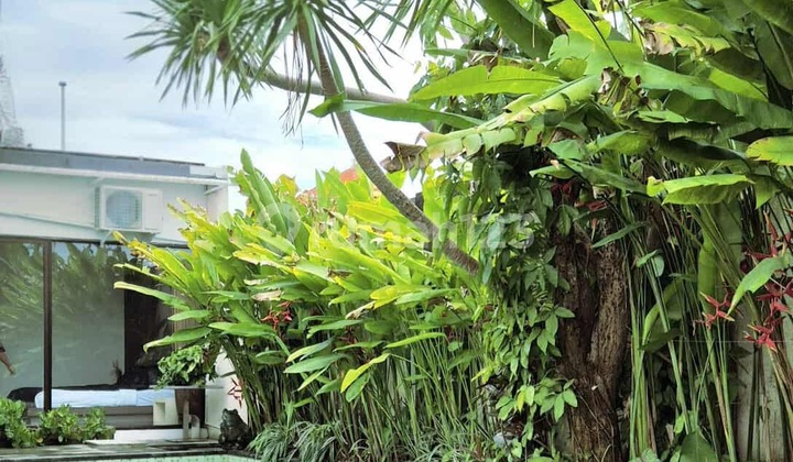 K462 Sewa Villa Prapat Beris Sanur Denpasar Bali Dekat Renon Sesetan Panjer Sidakarya K462 Sewa Villa Prapat Beris Sanur Denpasar Bali Dekat Renon Sesetan Panjer Sidakarya