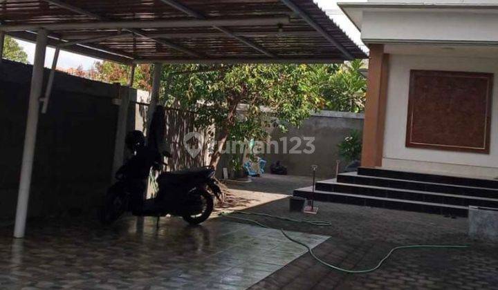 Cm456 Sewa Rumah Penamparan Denpasar Bali Dekat Gatsu Imam Bonjol Kerobokan Dalung  2