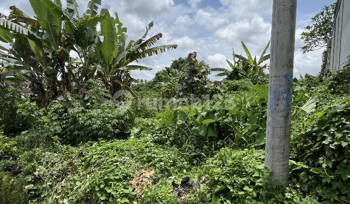 K494 For Sale Residential Land Permata Hijau Denbantas Tabanan Bali Near Mengwi Canggu Denpasar K494 For Sale Residential Land Permata Hijau Denbantas Tabanan Bali Near Mengwi Canggu Denpasar
