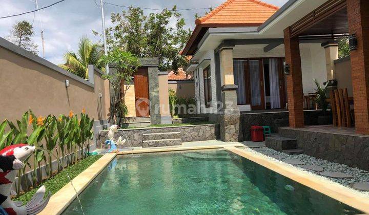 Cm488 Rent Villa Padonan Canggu Kuta Bali Near Denpasar Seminyak Kerobokan Tanah Lot Tabanan 1