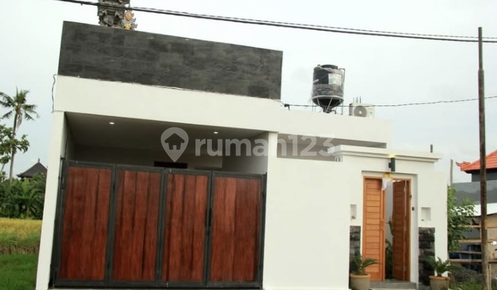 K191 Sewa Rumah View Sawah Abianbase Badung Bali Dekat Dalung Canggu Denpasar K191 Sewa Rumah View Sawah Abianbase Badung Bali Dekat Dalung Canggu Denpasar