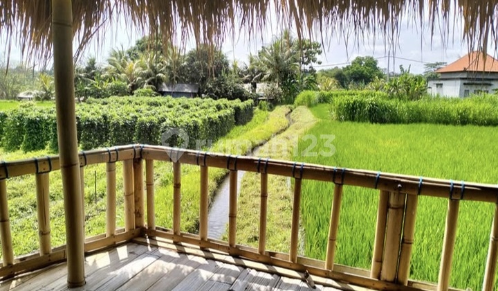 K344 House Rental with Big Garden View, Sawah Keramas, Blahbatuh, Gianyar, Bali. Near Safari Marine, Keramas Beach, Lebih Beach, By Pass Ketewel, Klungkung.