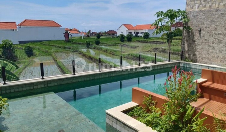 K446 Sewa Villa View Sawah Canggu Kuta Badung Bali Dekat Denpasar Kerobokan Seminyak Dalung Tabanan K446 Sewa Villa View Sawah Canggu Kuta Badung Bali Dekat Denpasar Kerobokan Seminyak Dalung Tabanan