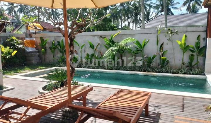 Cm922 Jual Brand New Villa Ubud Gianyar Bali Dekat Ubud Centre Mongkey Forest Internasional School 2