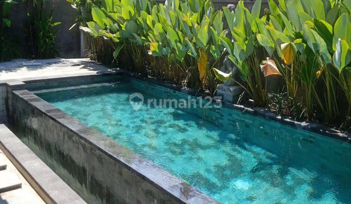 Cm465 Sewa Villa Baru Sekar Jagat Sanur Denpasar Bali Deket Ketewel Padang Galak Beach Batubulan Gatsu  1