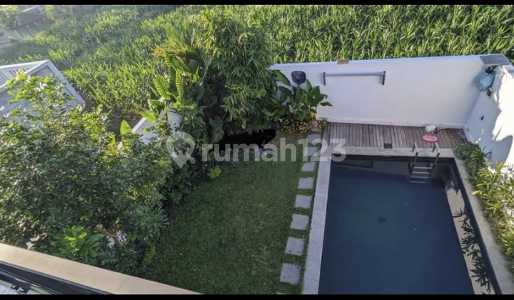 Cm900 Sewa/ Jual Rumah Saba Gianyar Bali Dekat Diatmika School Denpasar Ketewel Ubud 1
