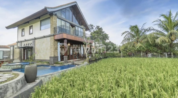 K441 Villa Rental with Rice Field View in Kemenuh, Ubud, Gianyar, Bali, Close to Kintamani, Denpasar, Batubulan Center, Ubud Monkey Forest.