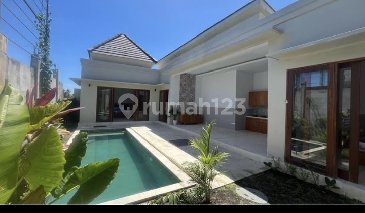 K253 Jual Villa Katik Lantang Ubud Gianyar Bali Dekat Mongkey Forest Ubud Senter Batubulan Denpasar
