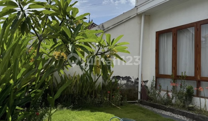 K416 Sewa Rumah Dawas Canggu Kuta Badung Bali Dekat Dalung Tabanan Denpasar Kerobokan 2