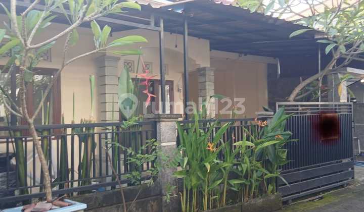 K539 House Rental in Padonan Canggu, Kuta, Badung, Bali Near Seminyak, Denpasar, Dalung, Tabanan 2