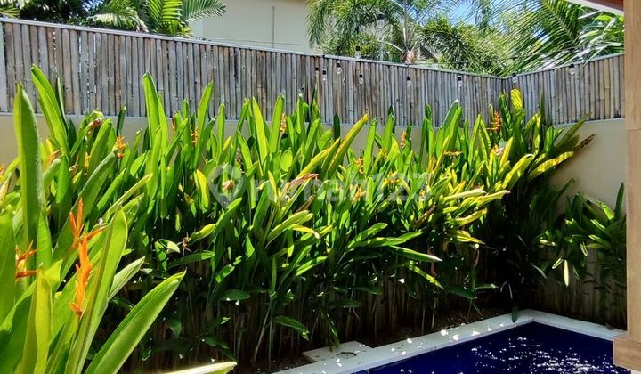 Cm743 Sewa Villa Bumbak Umalas Badung Bali Dekat Kerobokan Canggu Seminyak Denpasar 