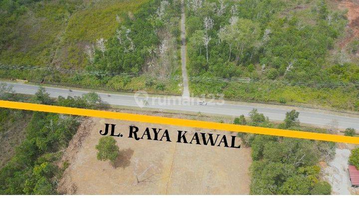 Cm787 Jual Tanah 5 Hektar Raya Kawal Bintan Batam Kepulauan Riau  2