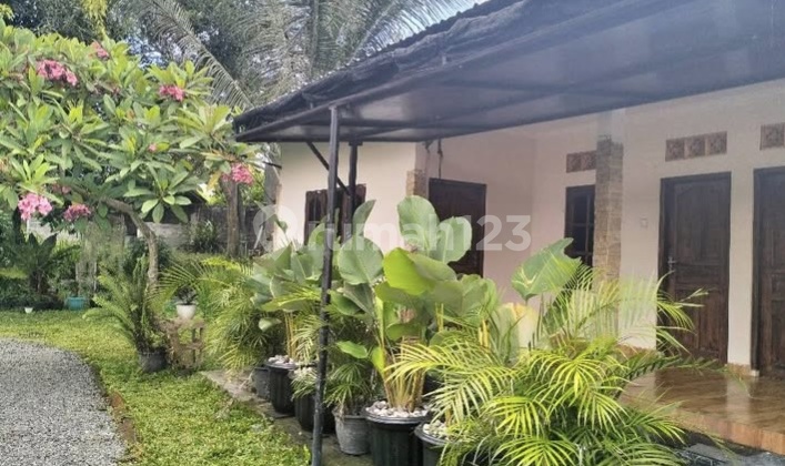 K344 House Rental with Big Garden View, Sawah Keramas, Blahbatuh, Gianyar, Bali. Near Safari Marine, Keramas Beach, Lebih Beach, By Pass Ketewel, Klungkung.