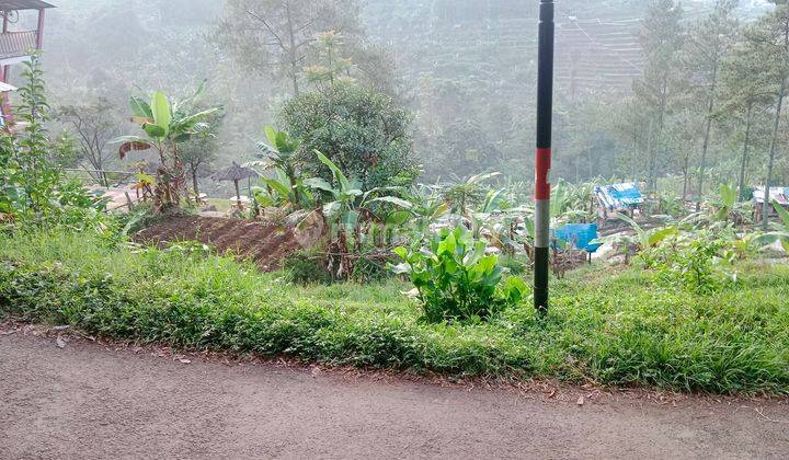 Tanah Lahan Buat Vila, Cafe dan Perkebunan Tanah di Jln Pasir Impun Sindanglaya 3380 1