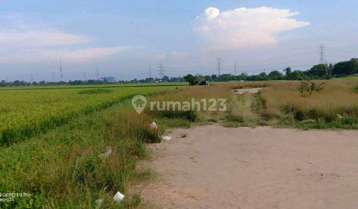 Dijual Tanah Sawah 14.3 Ha Tepi Jalan Di Babelan Bekasi 1