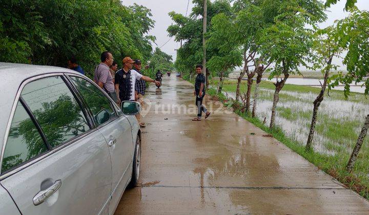 Dijual Tanah Sawah 14.3 Ha Tepi Jalan Di Babelan Bekasi 2