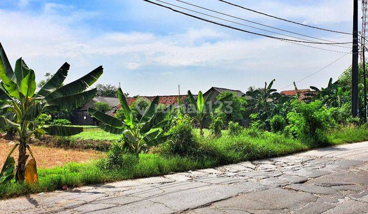 Tanah Shm Bebas Banjir Luas 2478m² Di Jalan Raya Babelan Bekasi 2