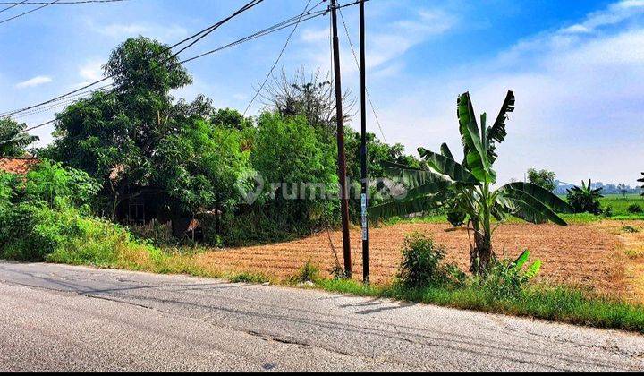 Tanah Shm Bebas Banjir Luas 2478m² Di Jalan Raya Babelan Bekasi 1
