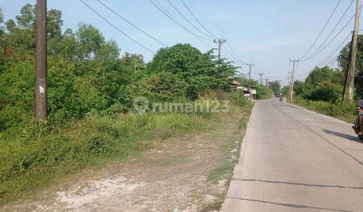 Dijual Tanah Shm 25 Ha Di Zona Industri Kawasan Giic Cilangkara Cikarang 1