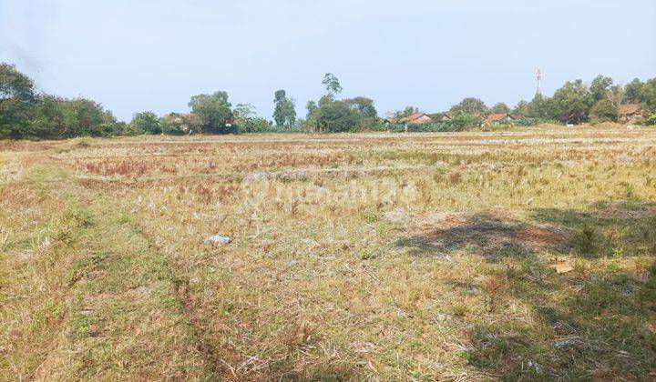 Tanah Kebun SHM Luas 5 HA Di Cilangkara Cikarang Selatan  2