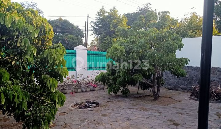 Classic House Affordable Price Central City Strategic Suitable for Business