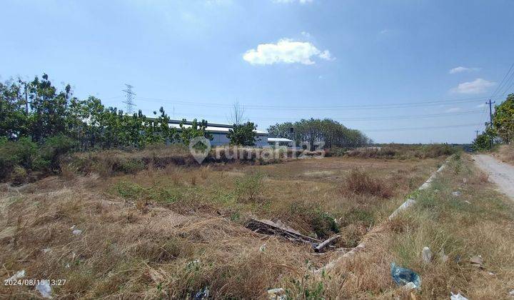 Tanah Kering Zona Industri di Pedan Klaten, Cocok Bangun Pabrik 2