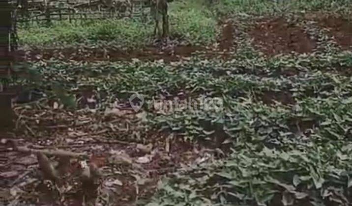 Dijual Lahan Tanah Kebun di Cisauk Tangerang 1