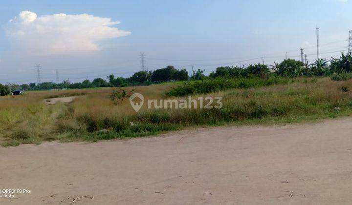 Dijual Tanah Sawah Tepi Jalan Di Kampung Pondok Soga, Desa Pantai Hurip Babelan, Bekasi 2