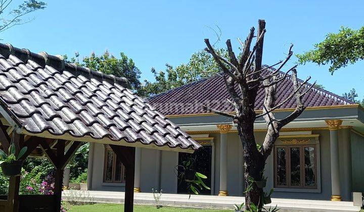 Dijual Cepat Tanah & Rumah Wanareja Cilacap Lt.22.066m 1