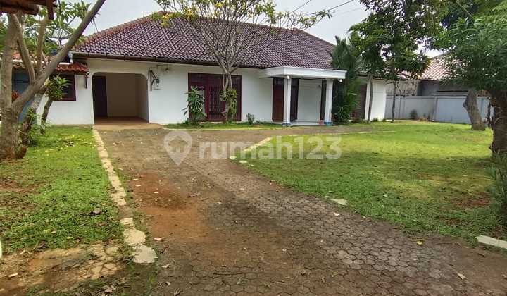 Disewakan Cocok Untuk Kantor/usaha Apapun Area Strategis Disewakan Cocok Untuk Kantor/usaha Apapun Area Strategis