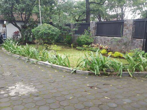 Rumah Belanda Sayap Riau Cocok Untuk Kantor Atau Kos Kosan 2