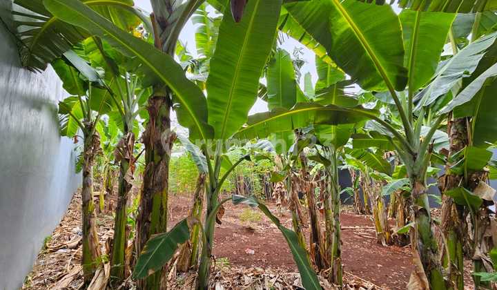 Di Jual Tanah Siap Bamgun Lokasi Telaga Bodas Raya Kota Semarang 2