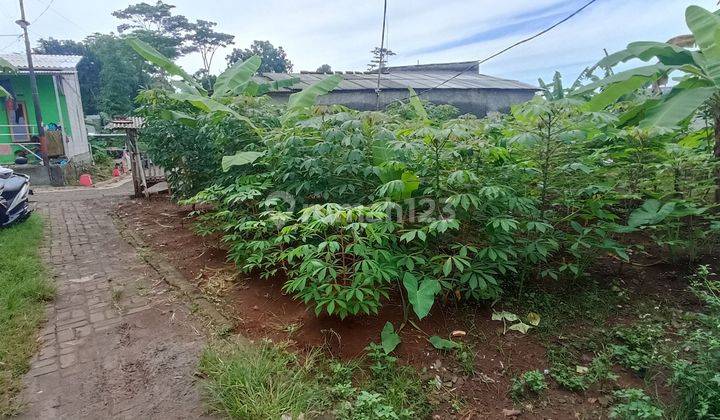 Tanah Murah Mijen Semarang Barat zona kuning 1