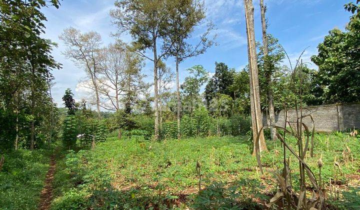 Di Jual Tanah Lokasi Mijen Kota Semarang Shm 2