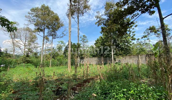 Tanah Buat Investasi SHM Lokasi Mijen Semarang Barat 1