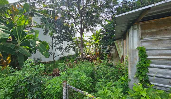 Tanah Bagus Hadap Utara Bentuk Kotak Lokasi Candi Kalasan Semarang Barat 2