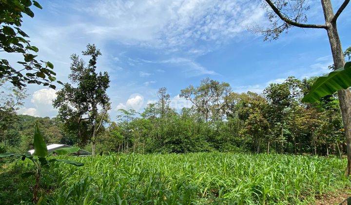 Di Jual Tanah Lokasi Mijen Kota Semarang Shm 1