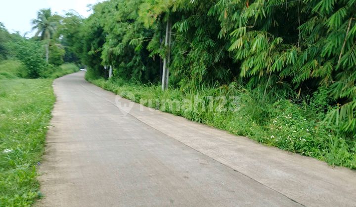 Di Jual Lahan Pinggir Jalan Gunung Sindur Bogor Jawa Barat