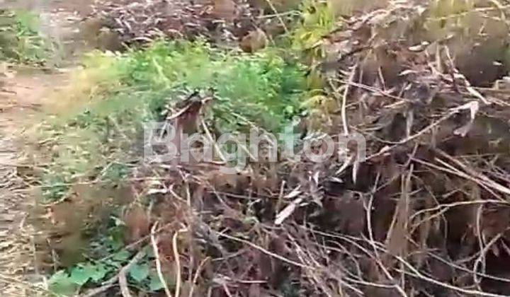 LAHAN KOSONG JEMBATAN TIGA  PLUIT JAKARTA UTAR 2