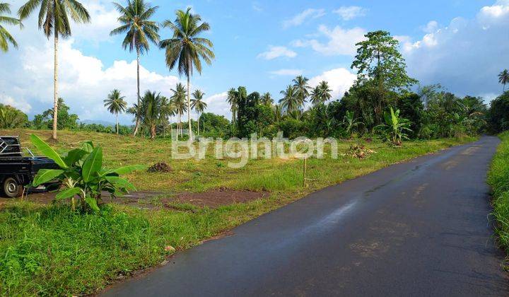 TANAH DI DESA KOLONGAN TALAWAN MINUT MANADO SULAWESI UTARA 1